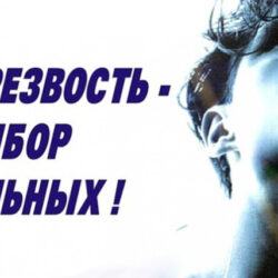 Трезвость — выбор общества